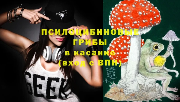 эйфоретик Баксан