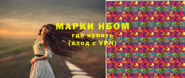 эйфоретик Баксан