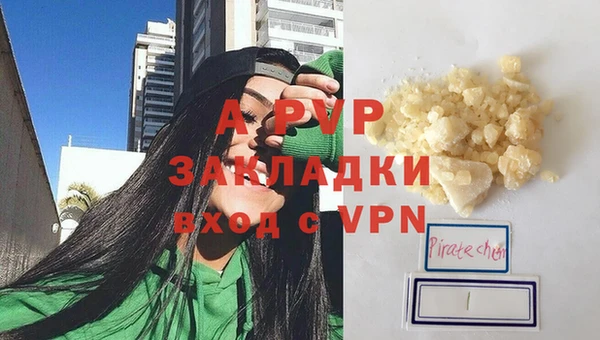 эйфоретик Баксан