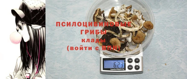 эйфоретик Баксан