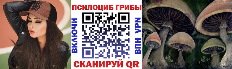 Галлюциногенные грибы мицелий даркнет сайт Кодинск